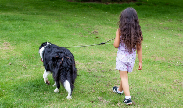 Niña paseando a un perro