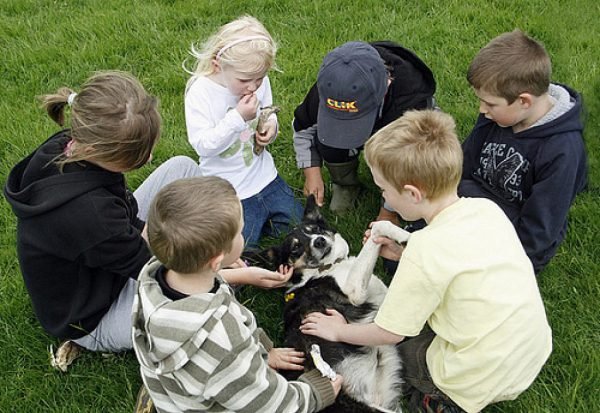 Niños jugando con un perro