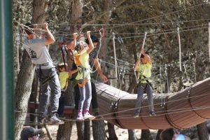 Andar entre árboles con los cumpleaños de Pindongos