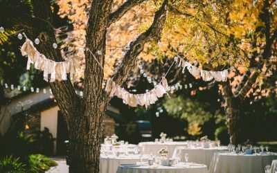 Fiesta al aire libre
