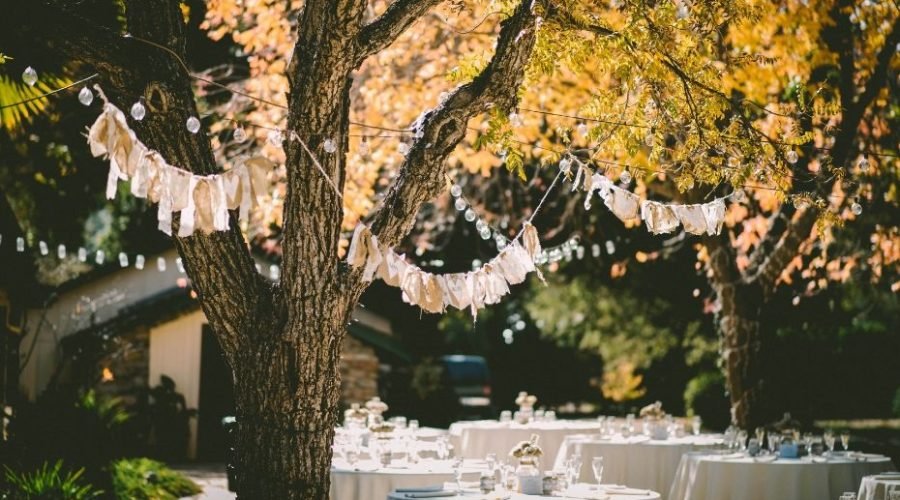Fiesta al aire libre