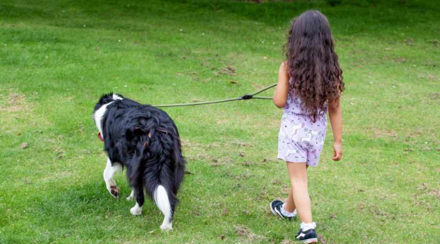 Niña paseando a un perro