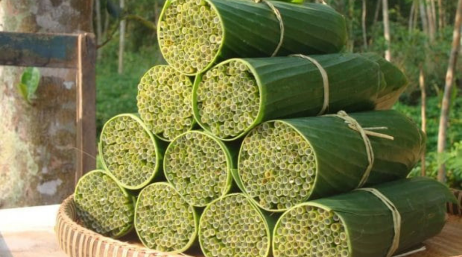 Pajitas biodegradables