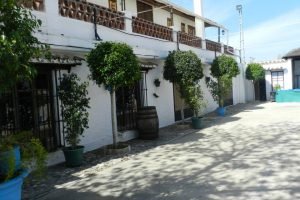 Patio Finca los Rosales