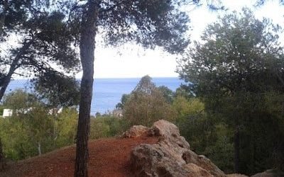 Vistas desde Parque El Morlaco