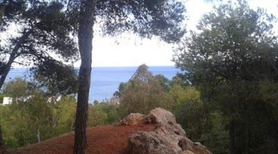 Vistas desde Parque El Morlaco