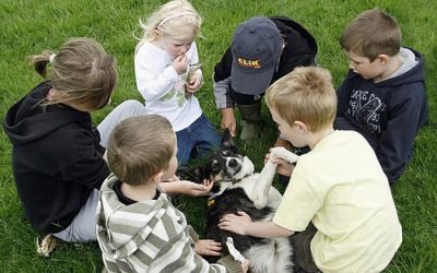 Niños jugando con un perro