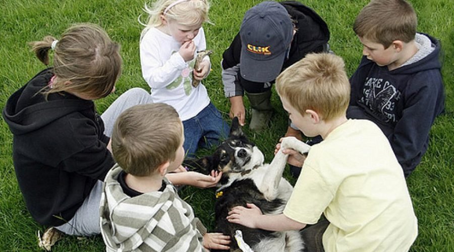 Niños jugando con un perro