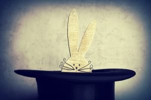 hare-4103102_640 (1)
