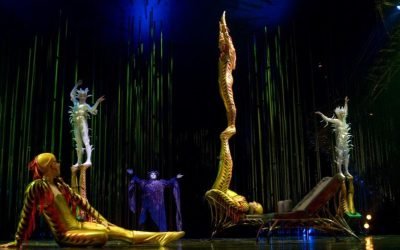shows Circo del Sol