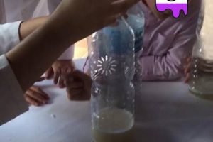 talleres de ciencia malaga